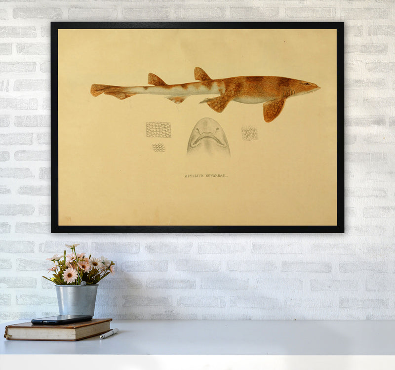 Shark Series 1 Art Print by Jason Stanley A1 White Frame