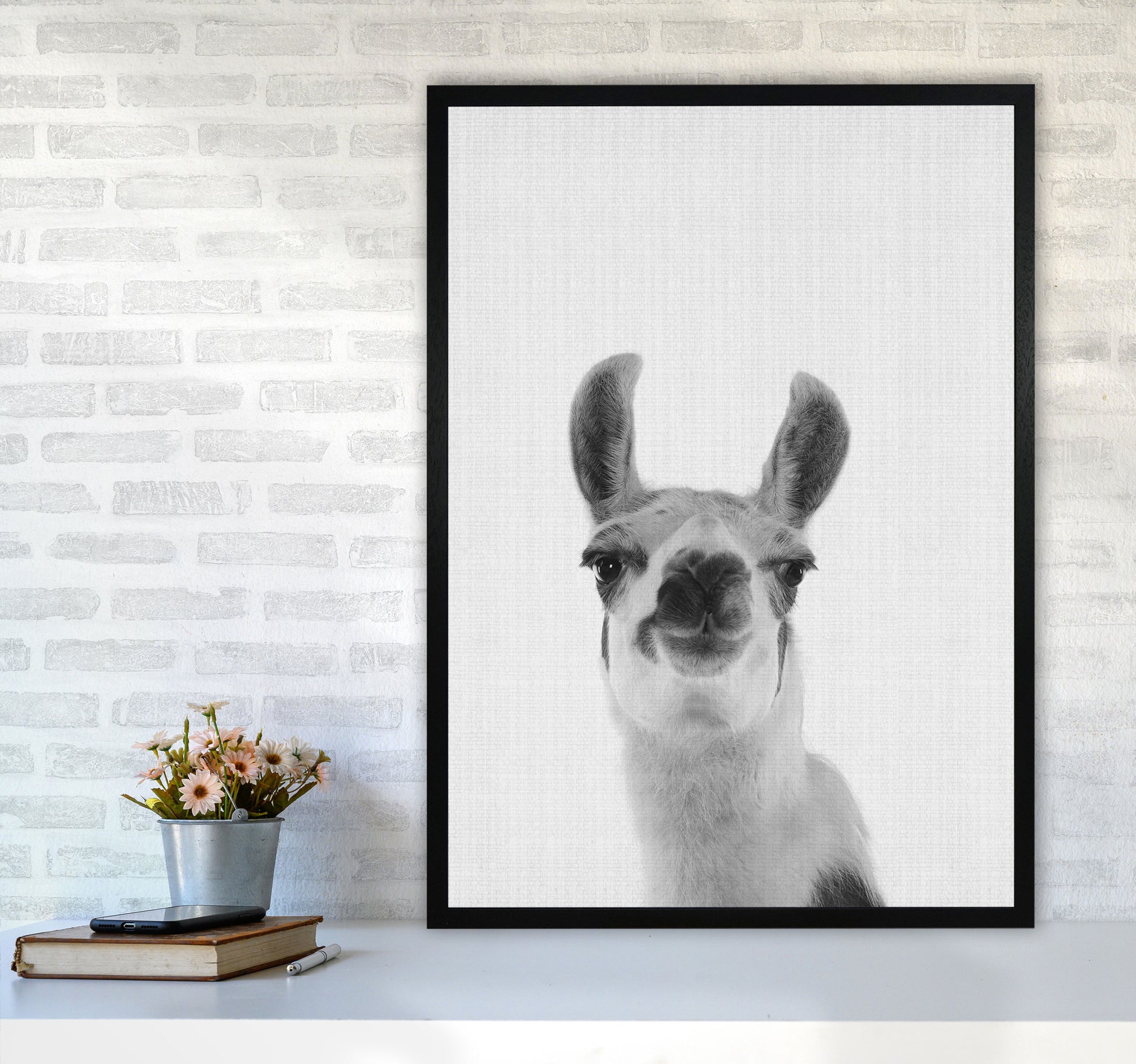 Llama Art Print by Jason Stanley A1 White Frame