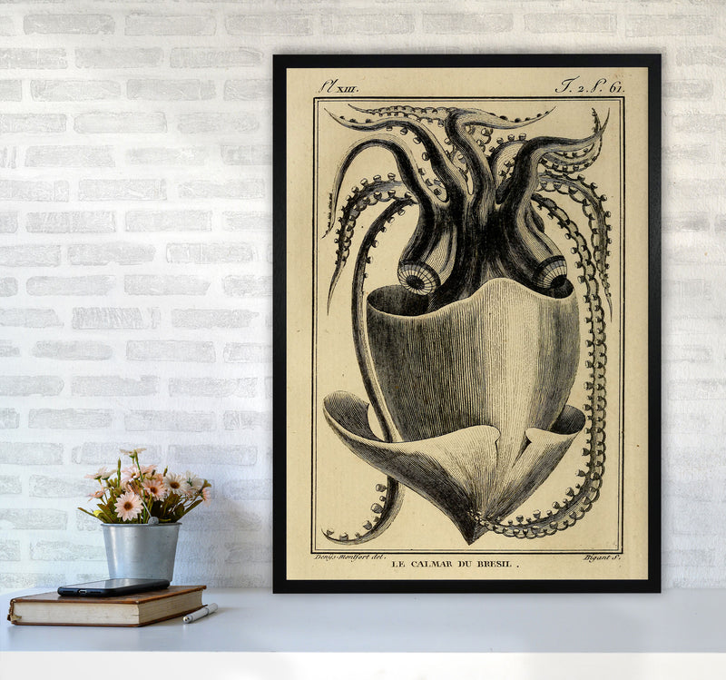 Vintage Squid Art Print by Jason Stanley A1 White Frame