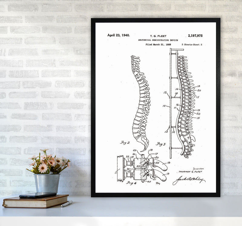 Anatomical Spine Display Patent Art Print by Jason Stanley A1 White Frame