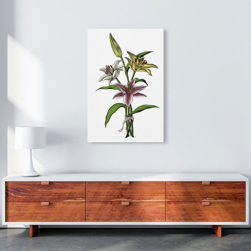 Vintage Lilly Illustration Art Print by Jason Stanley A1 Canvas
