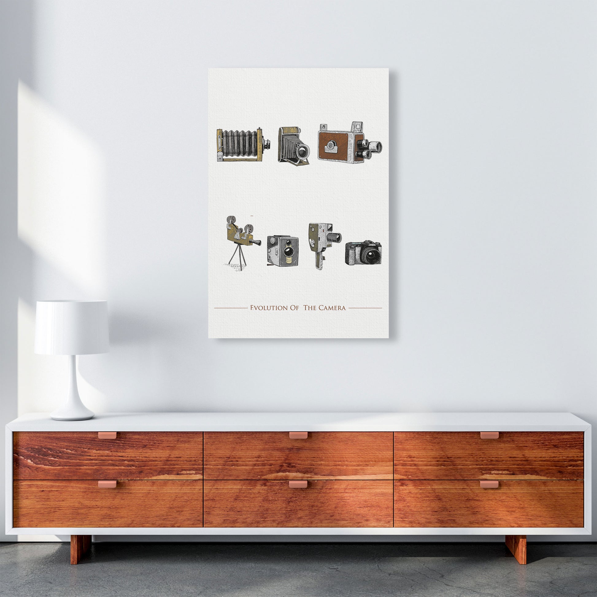 Evolution Of The Camera Art Print by Jason Stanley A1 Canvas