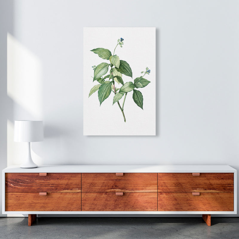 Vintage Botanical Plant Art Print by Jason Stanley A1 Canvas