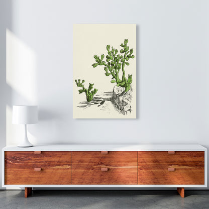 Prickly Pear Cactus Art Print by Jason Stanley A1 Canvas
