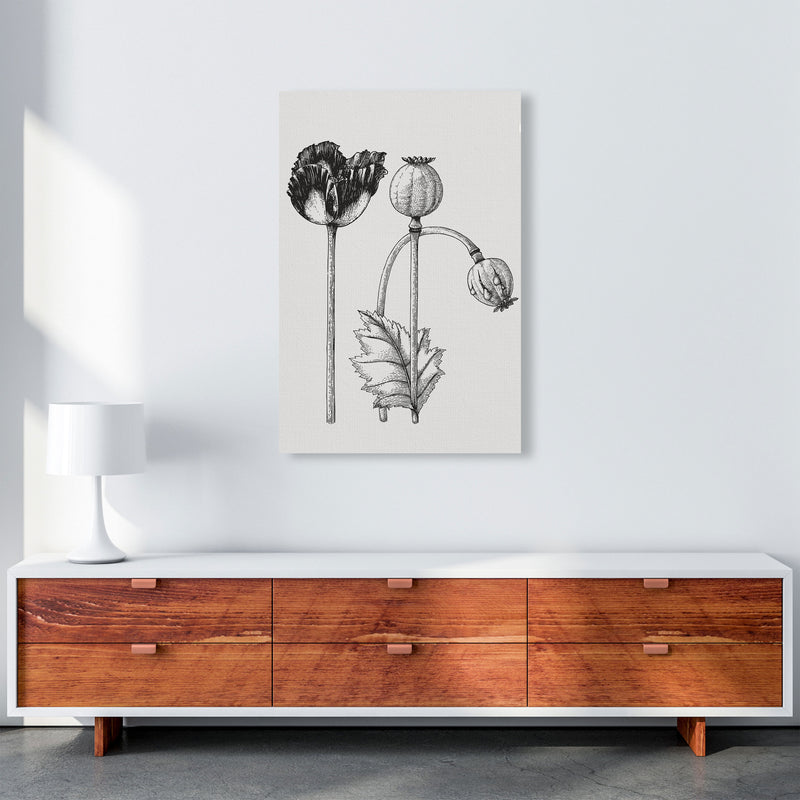 Vintage Poppy Plant Art Print by Jason Stanley A1 Canvas