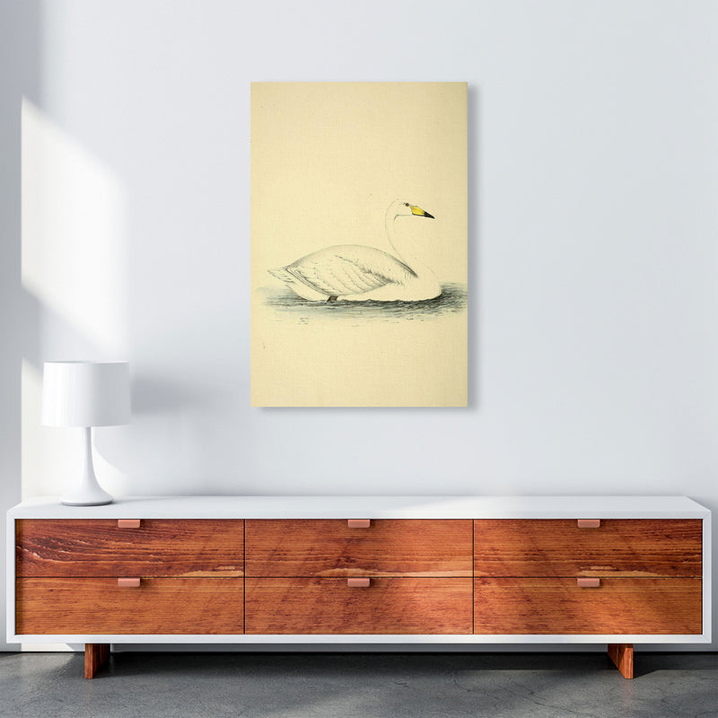 Vintage Swan Art Print by Jason Stanley A1 Canvas
