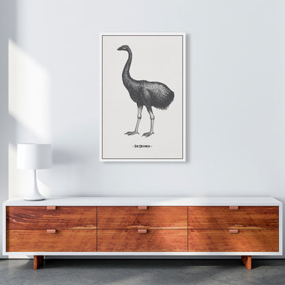 The Ostrich Art Print by Jason Stanley A1 Canvas