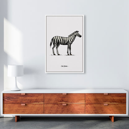 The Zebra Art Print by Jason Stanley A1 Canvas