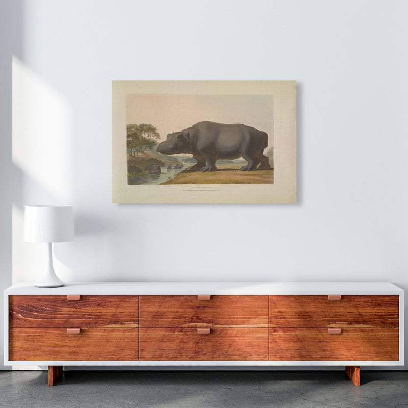 Vintage Hippo Illustration Art Print by Jason Stanley A1 Canvas