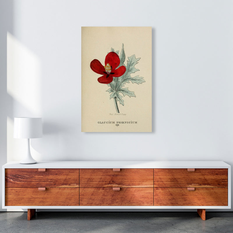 Vintage Flower Series 2 Art Print by Jason Stanley A1 Canvas