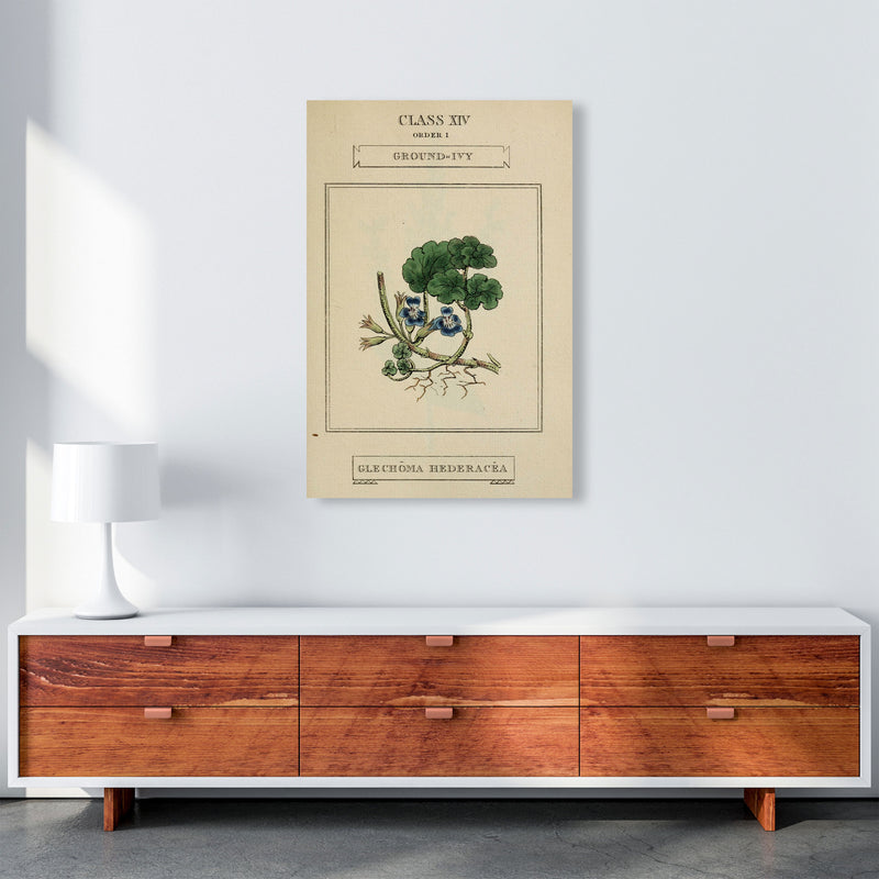 Vintage Flower Series 8 Art Print by Jason Stanley A1 Canvas