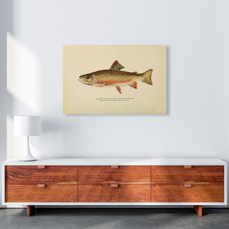 Brook Trout Illustration Art Print by Jason Stanley A1 Canvas