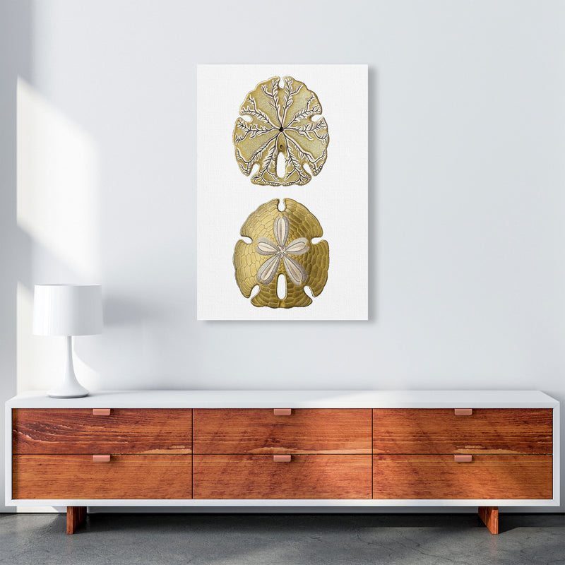 Sand Dollar Illustration Art Print by Jason Stanley A1 Canvas