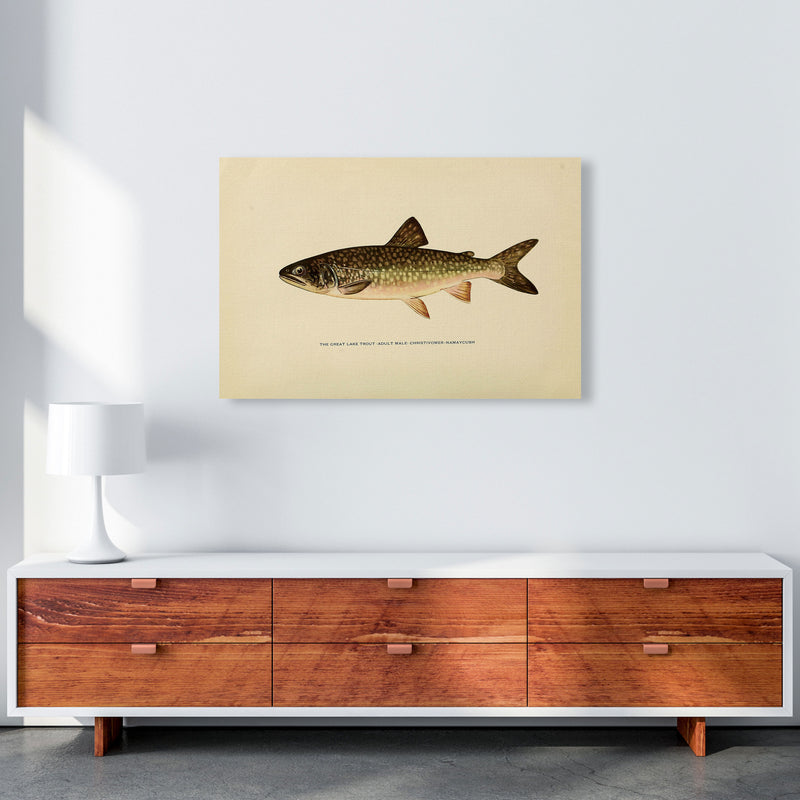 Lake Trout Illustration Art Print by Jason Stanley A1 Canvas