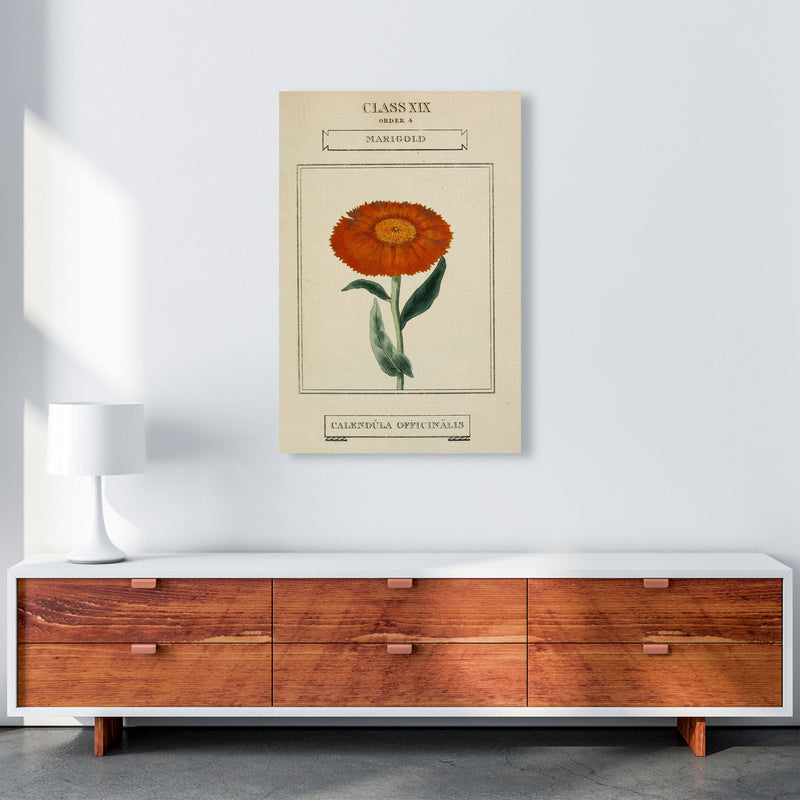 Vintage Flower Series 9 Art Print by Jason Stanley A1 Canvas
