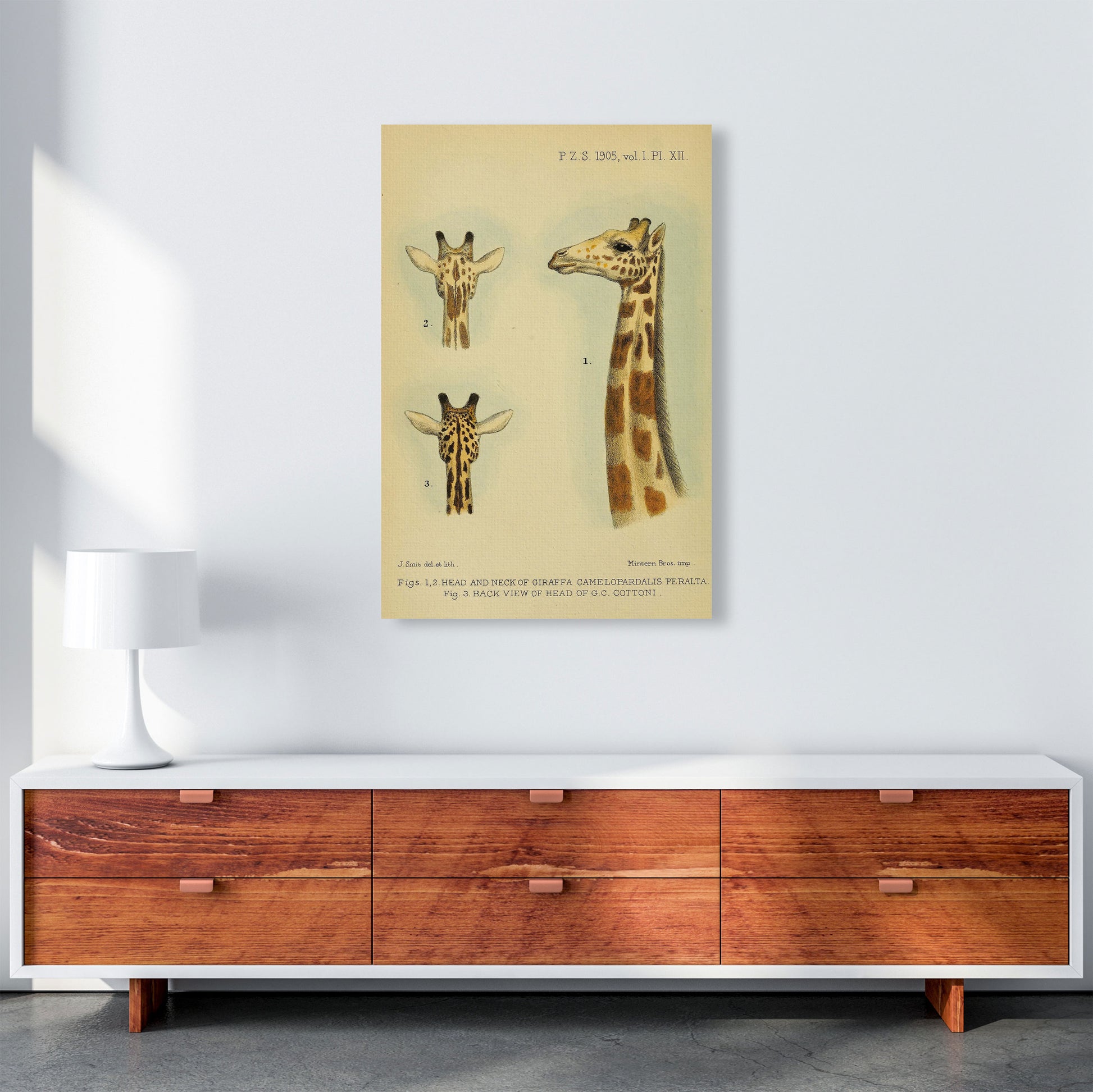 Longest Neck In The Jungle Art Print by Jason Stanley A1 Canvas