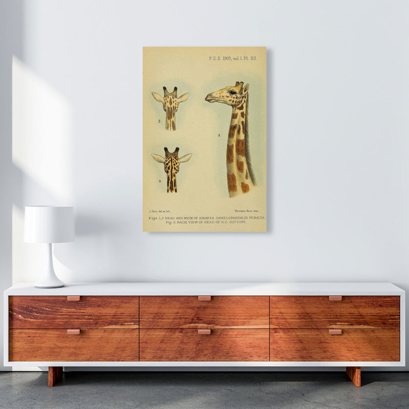 Longest Neck In The Jungle Art Print by Jason Stanley A1 Canvas