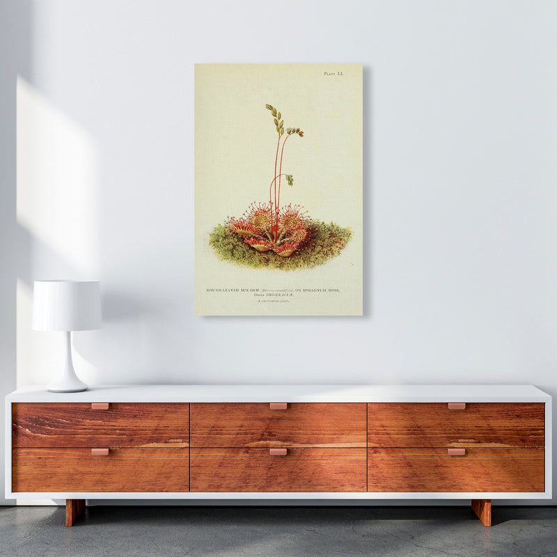 A Carnivorous Plant Art Print by Jason Stanley A1 Canvas