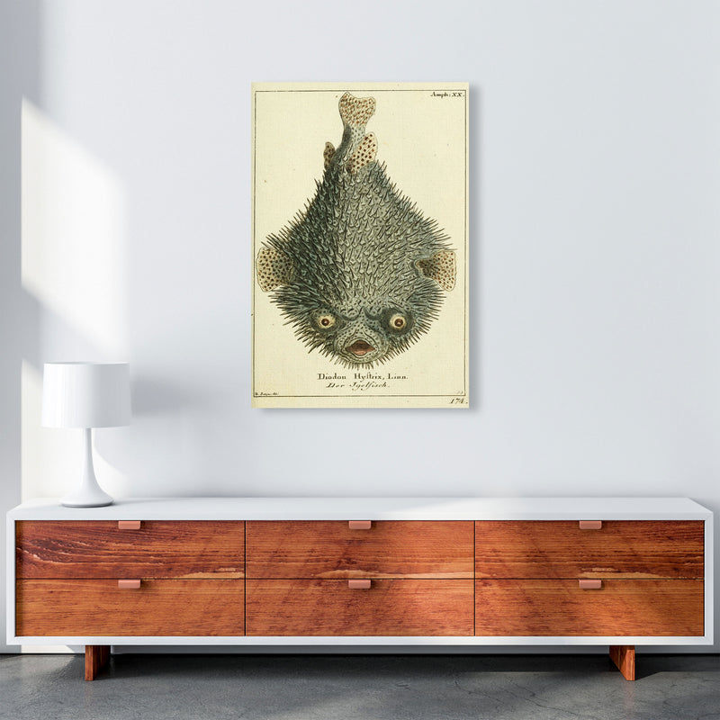 Vintage Japanese Fish Art Print by Jason Stanley A1 Canvas