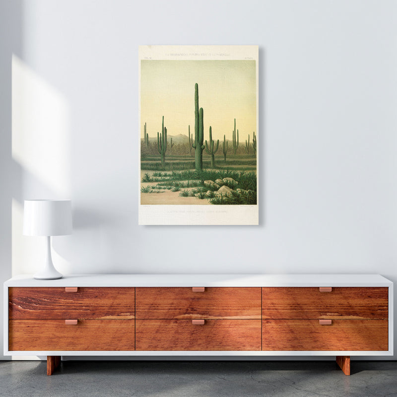 Vintage Desert Cactus Art Print by Jason Stanley A1 Canvas