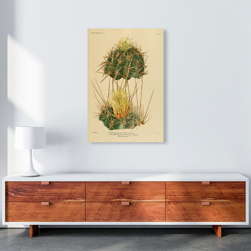 Cactus Series 10 Art Print by Jason Stanley A1 Canvas