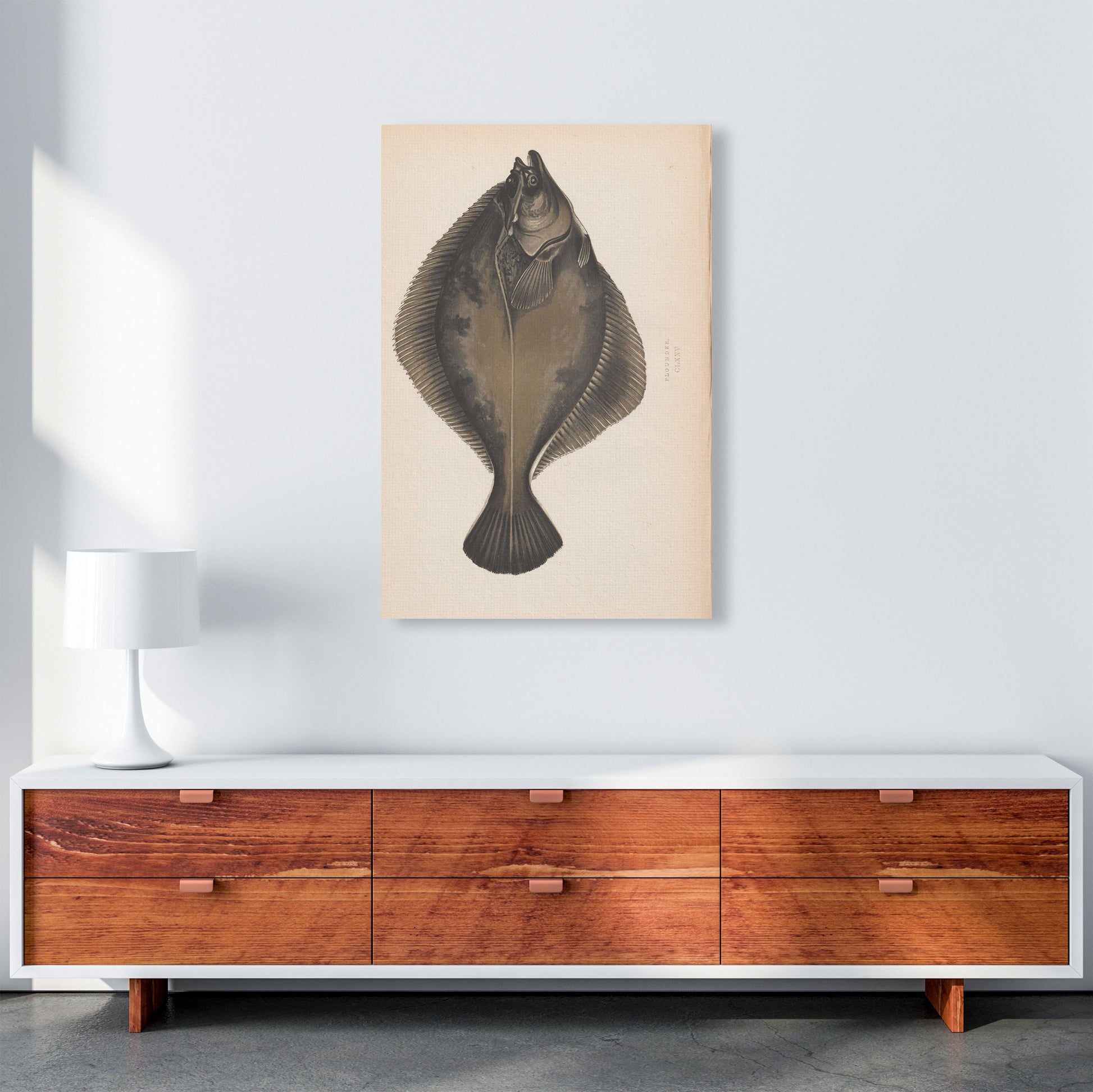 Vintage Flounder Art Print by Jason Stanley A1 Canvas