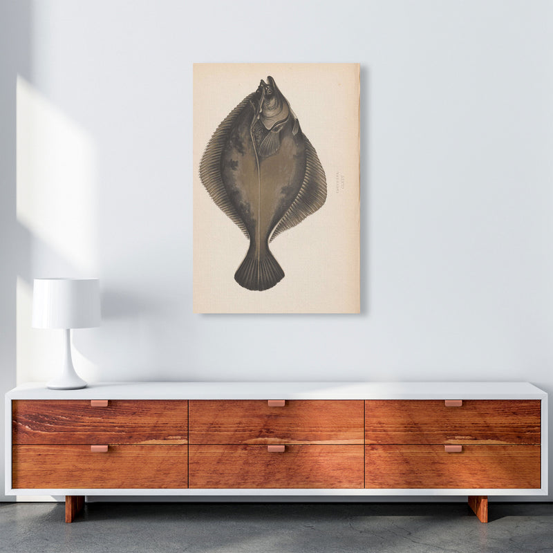 Vintage Flounder Art Print by Jason Stanley A1 Canvas