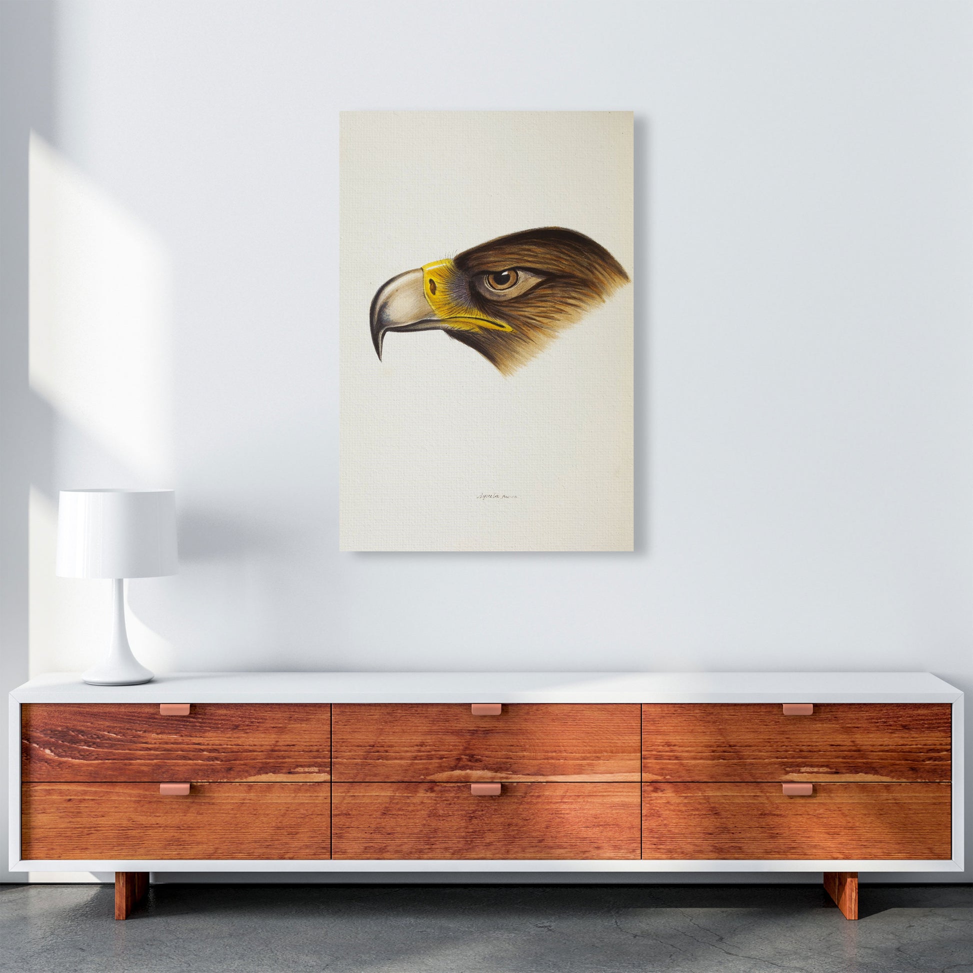 Vintage Eagle Face Art Print by Jason Stanley A1 Canvas