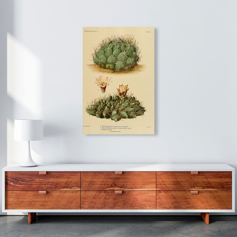 Cactus Series 12 Art Print by Jason Stanley A1 Canvas