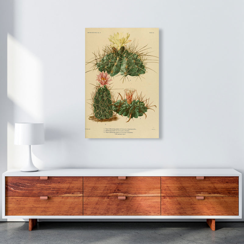 Cactus Series 11 Art Print by Jason Stanley A1 Canvas