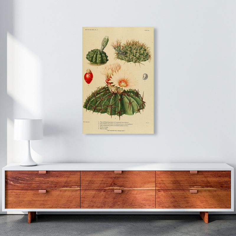 Cactus Series 14 Art Print by Jason Stanley A1 Canvas