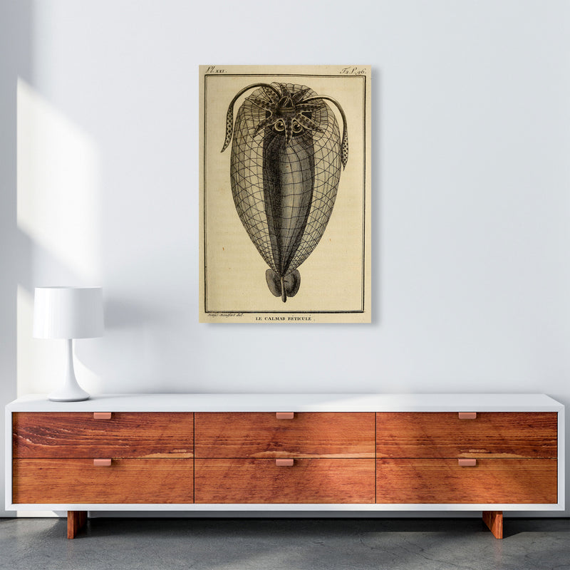 Vintage Squid 4 Art Print by Jason Stanley A1 Canvas