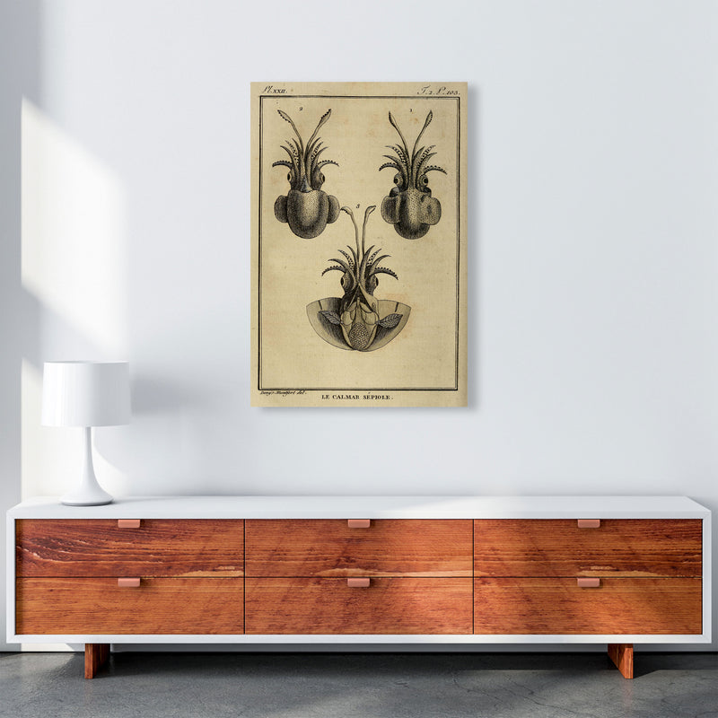 Vintage Squid 3 Art Print by Jason Stanley A1 Canvas