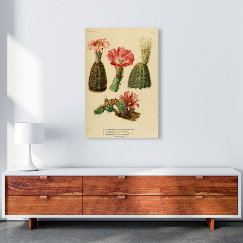 Cactus Series 2 Art Print by Jason Stanley A1 Canvas