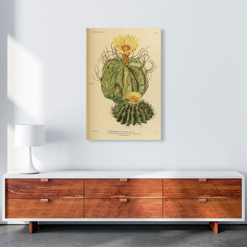 Cactus Series 15 Art Print by Jason Stanley A1 Canvas
