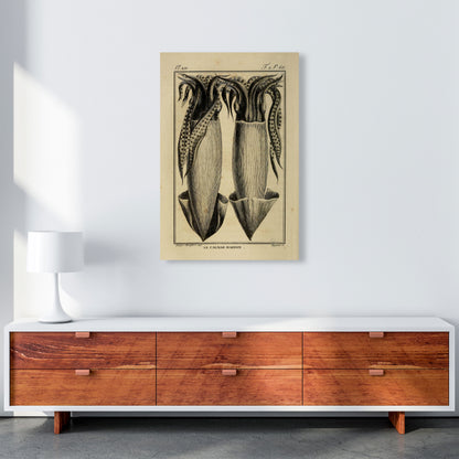 Vintage Squid 5 Art Print by Jason Stanley A1 Canvas