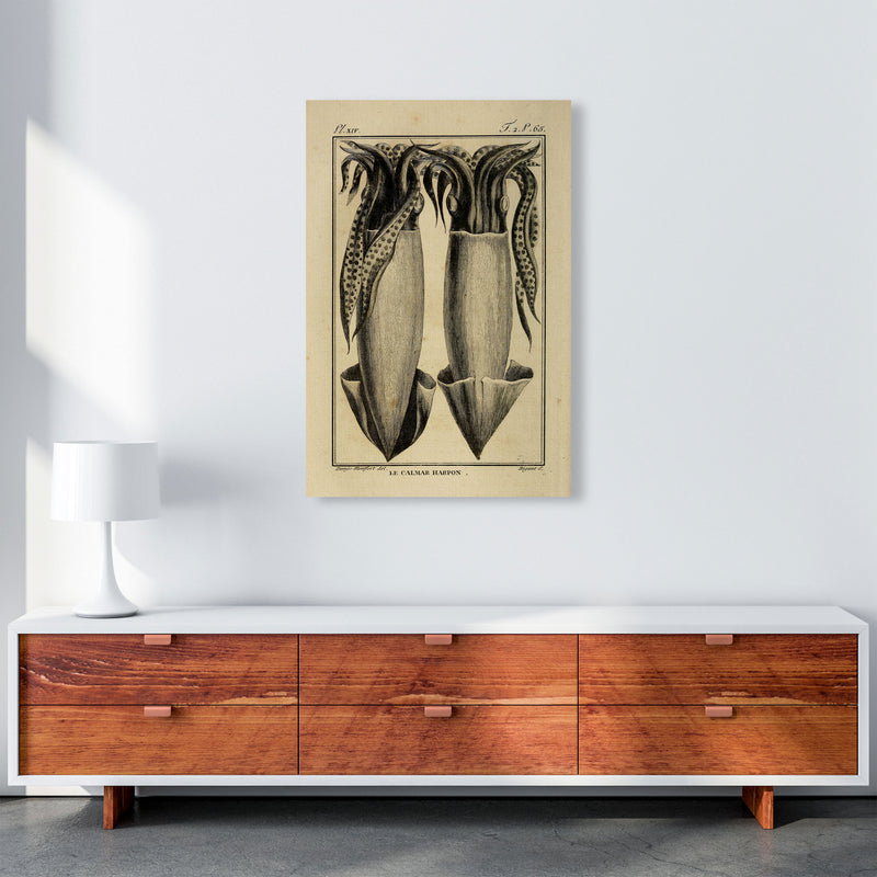 Vintage Squid 5 Art Print by Jason Stanley A1 Canvas