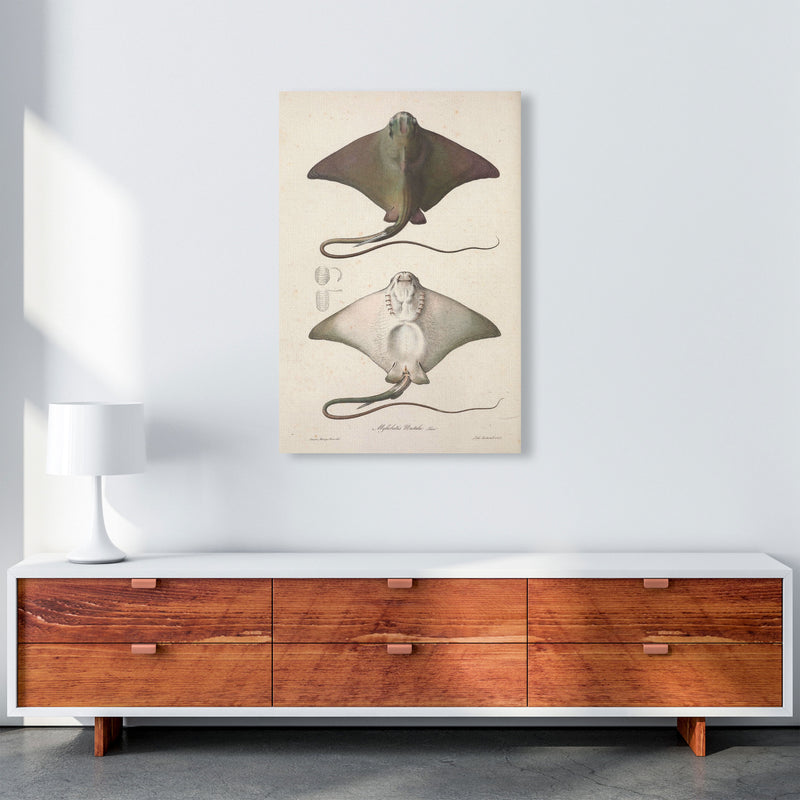 Vintage Stingray Art Print by Jason Stanley A1 Canvas