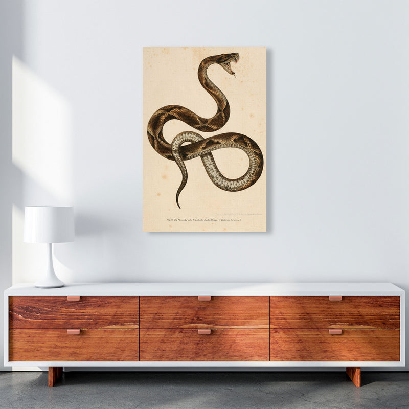Vintage Snake Art Print by Jason Stanley