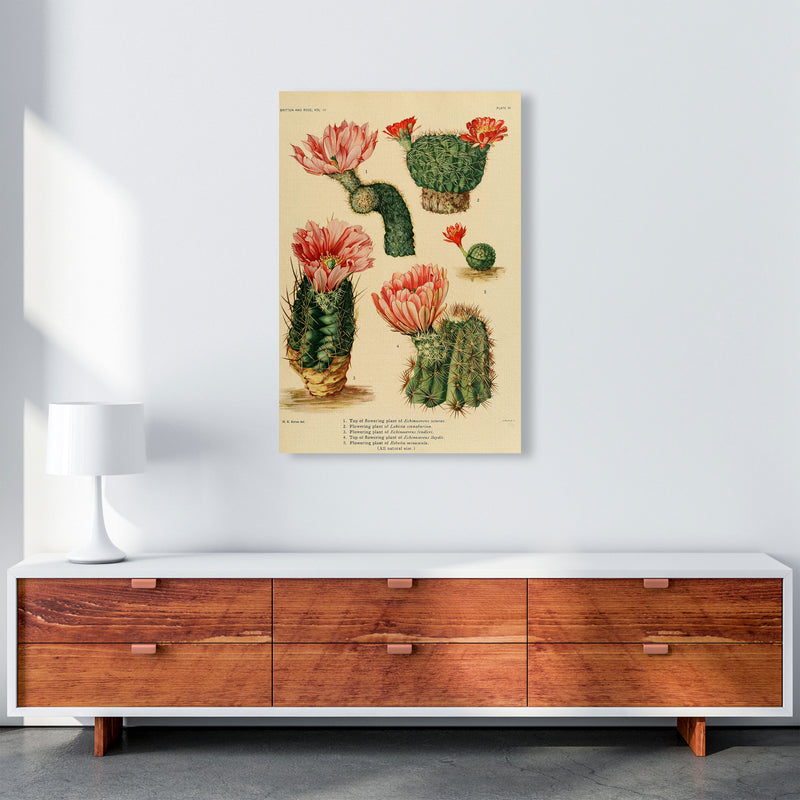 Cactus Series 3 Art Print by Jason Stanley A1 Canvas