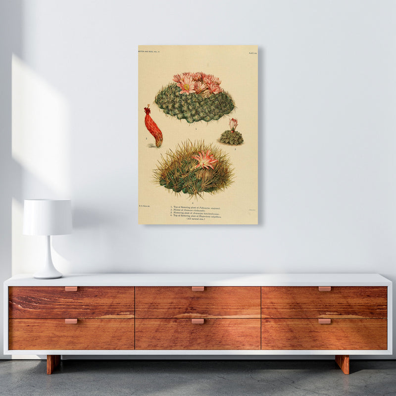 Cactus Series 7 Art Print by Jason Stanley A1 Canvas