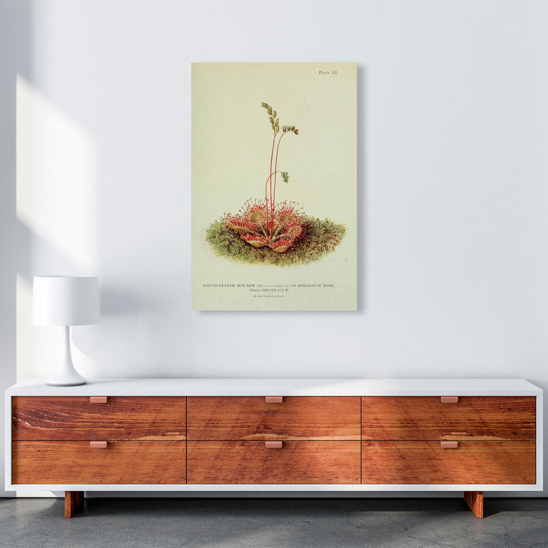 Venus Fly Trap Art Print by Jason Stanley A1 Canvas