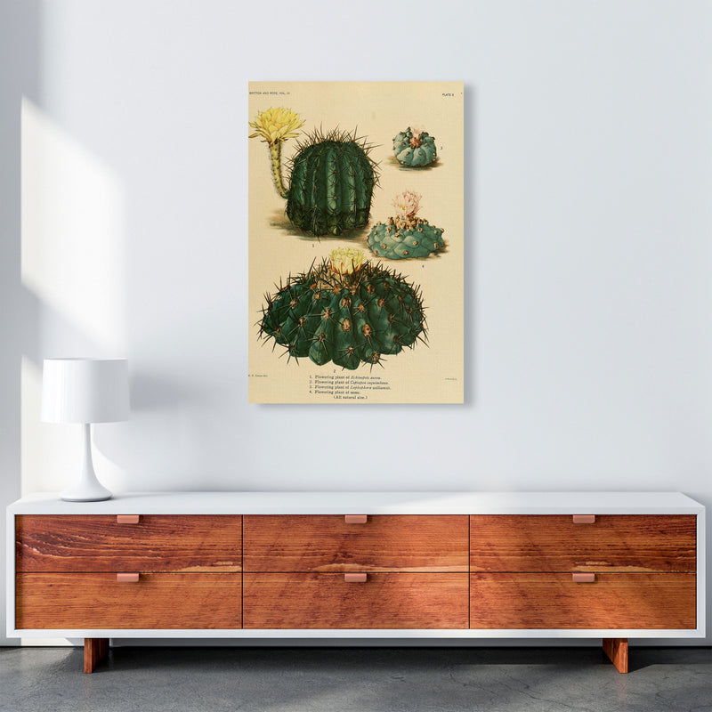 Cactus Series8 Art Print by Jason Stanley A1 Canvas