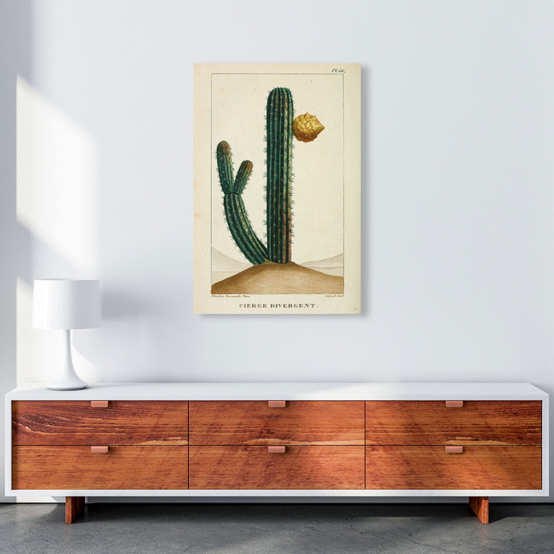 Vintage Cactus Art Print by Jason Stanley A1 Canvas