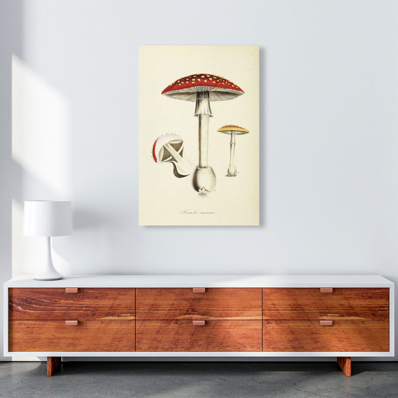 Magic Mushrooms Art Print by Jason Stanley A1 Canvas