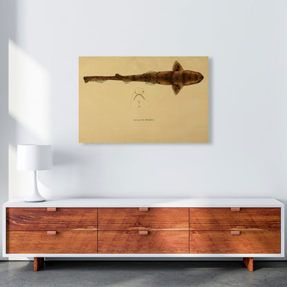 Shark Series 2 Art Print by Jason Stanley A1 Canvas
