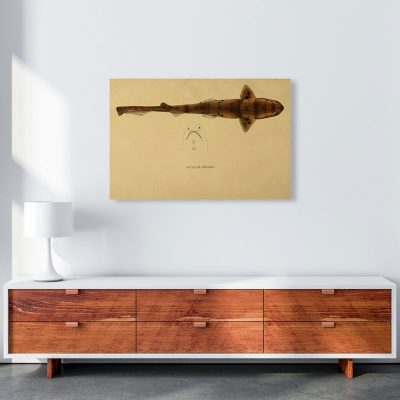 Shark Series 2 Art Print by Jason Stanley A1 Canvas