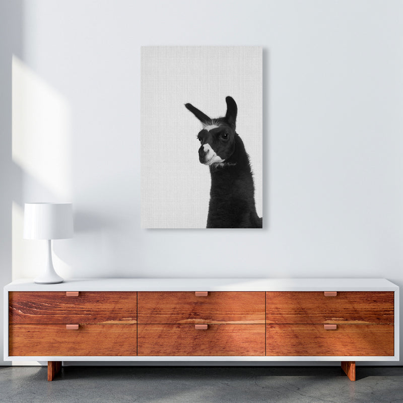 Llama