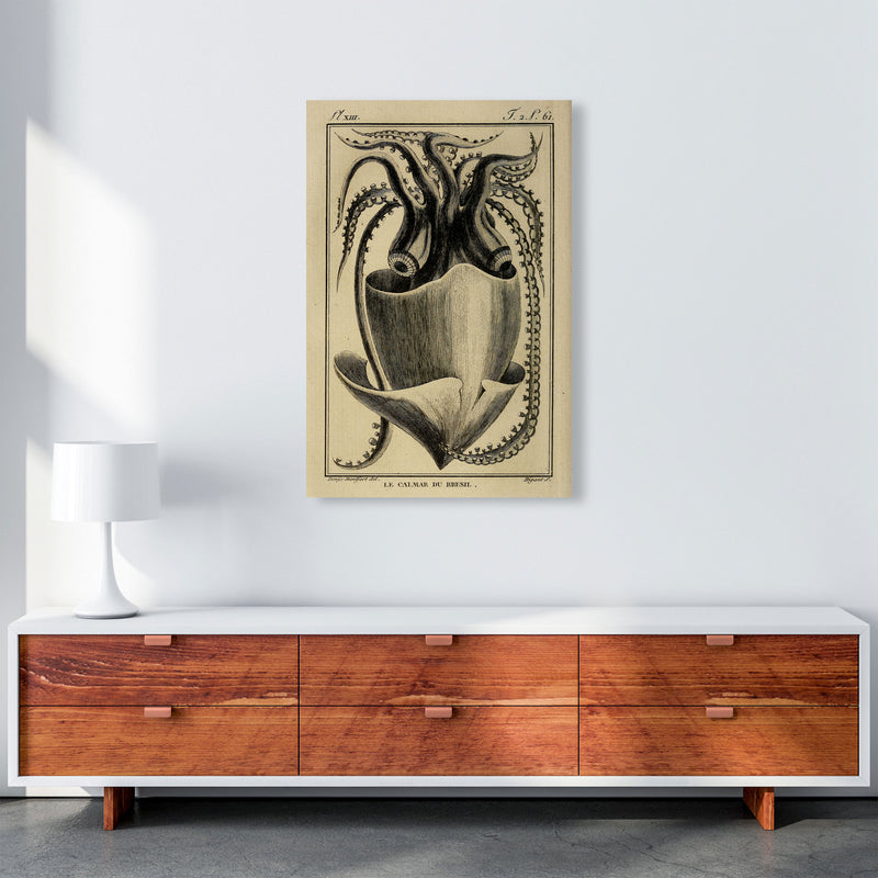 Vintage Squid Art Print by Jason Stanley A1 Canvas