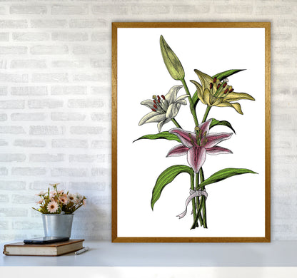 Vintage Lilly Illustration Art Print by Jason Stanley A1 Print Only